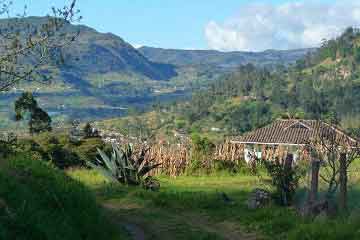 where to travel in June with AVI