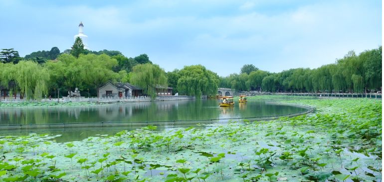 Découvrir la Chine et sa culture 