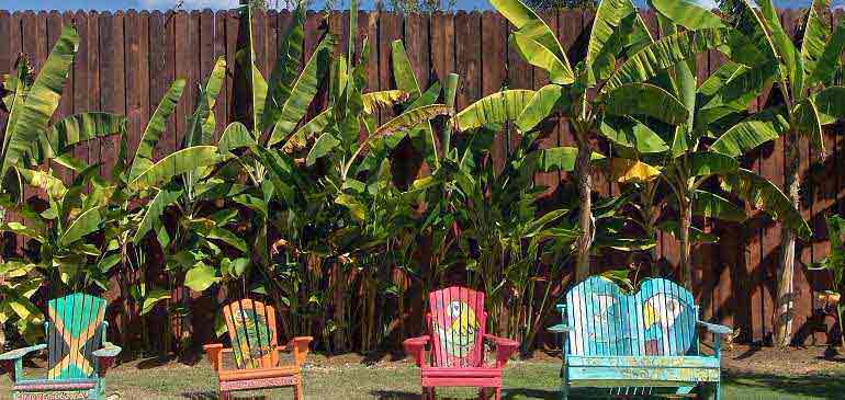 voyage Jamaique avec AVI assurance voyage