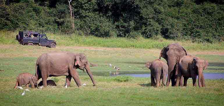 assurance voyage Birmanie