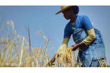 cine cyclotour senegal vincent hanrion avi solidarity grant 2015