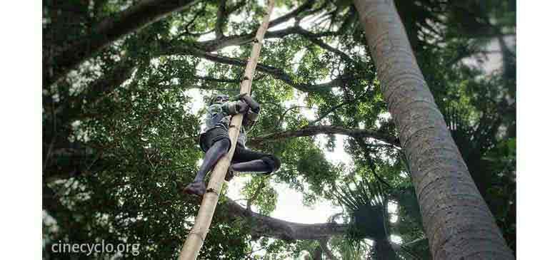 cinecyclotour senegal vincent hanrion avi international assurance voyage