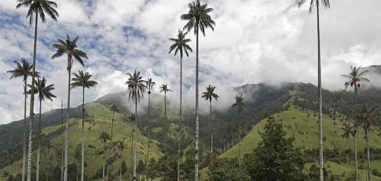 conseils voyage responsable AVI assurance voyages