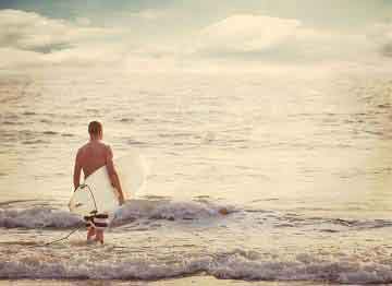 seguro Working Holiday 