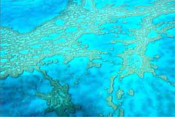 PVT travel insurance by AVI International