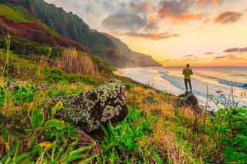 programme high school par Calvin Thomas AVI International