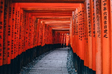 Viaja por Asia con AVI Internacional 