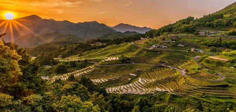 visa Working Holiday Japon assurance voyage AVI International