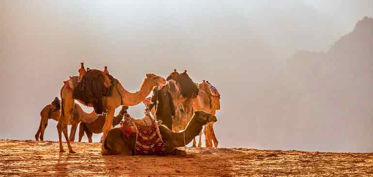 Wadi Rum Jordanie Assurance voyage et vacances