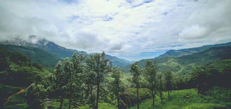 conseils voyage assurance tour du monde AVI International