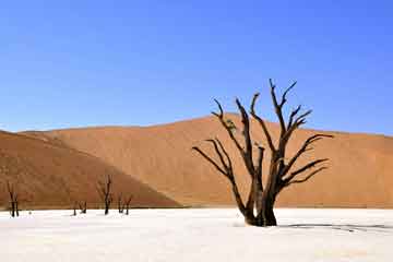 namibia por denis besnard para avi seguros vacaciones