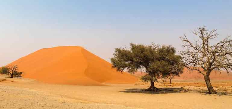 AVI International assurance voyage Namibie desert Afrique