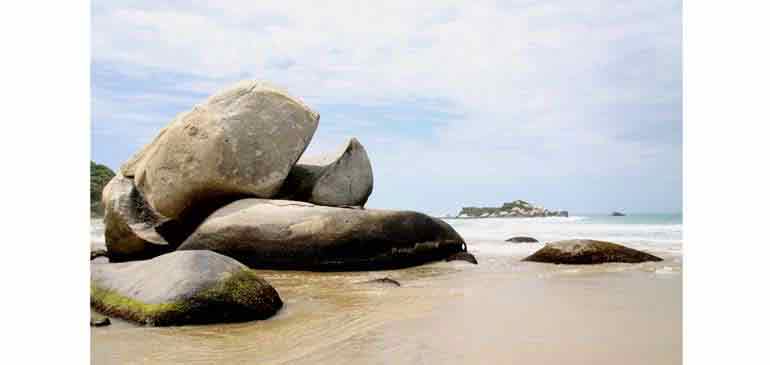 Colombia con AVI International