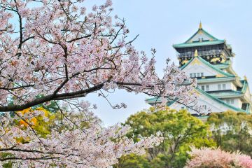 pvt asie osaka japon