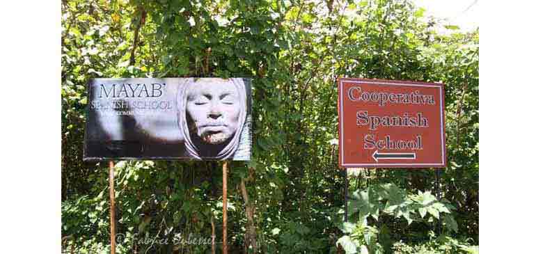 Communication en tour du monde, les conseils de Fabrice Dubesset pour AVI International