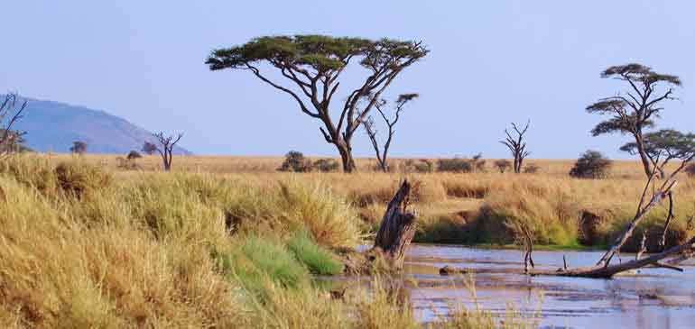 visite tanzanie sécurité AVI assurance voyage Routard