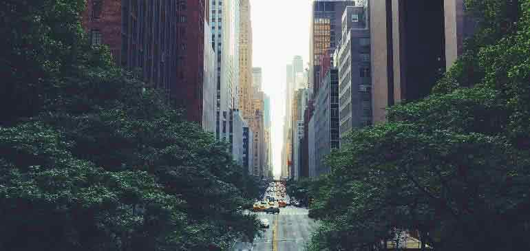 etudes et stages etranger avec Planete Etudes par AVI International