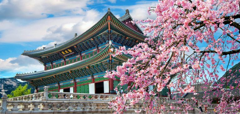 travel south korea asia