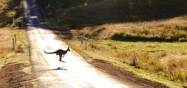 PVT Visa Working Holiday pour voyager en Australie