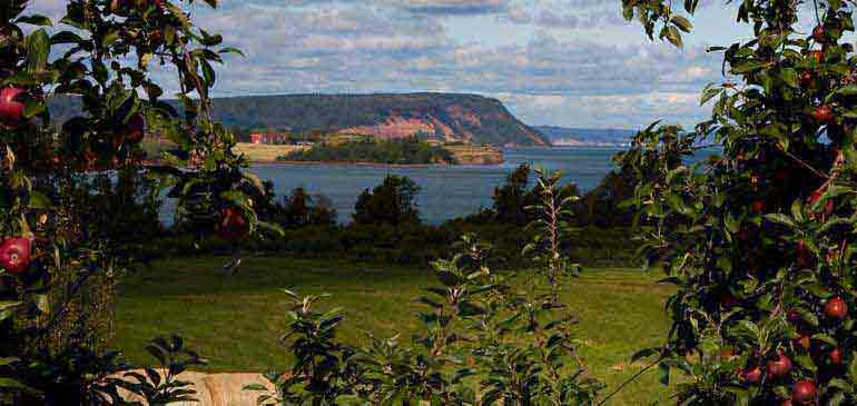 wwoofing assurance pvt working holiday avi international