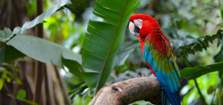 colombie avi international assurance voyage